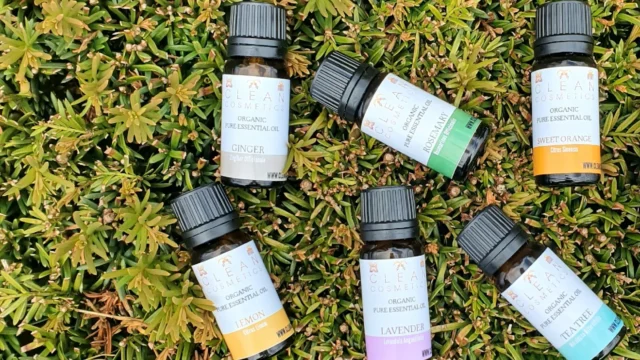 Health and beauty shop